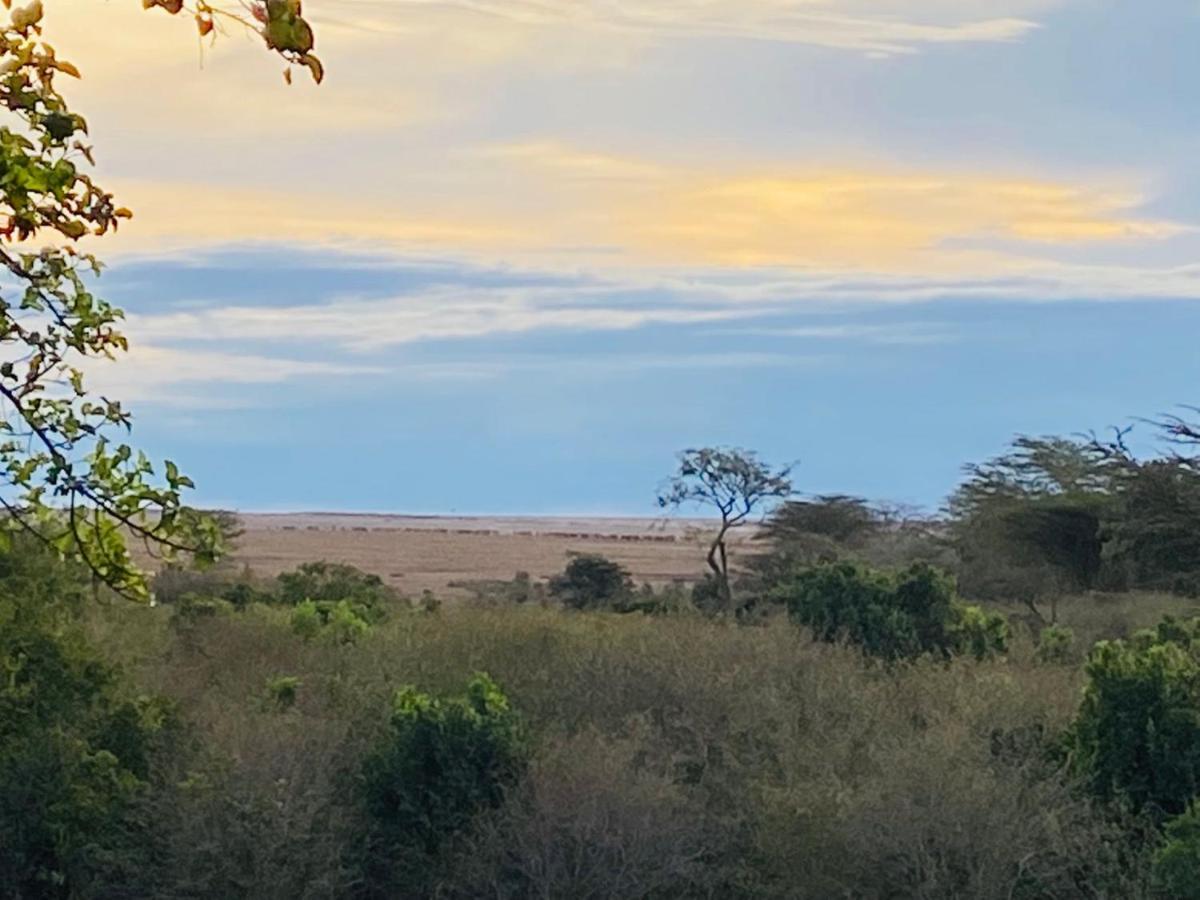 Mara Sweet Acacia Talek