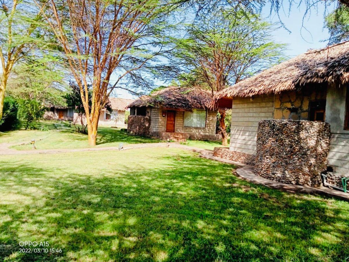 Mara Sweet Acacia *