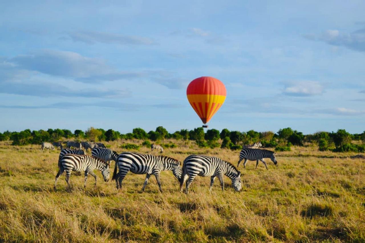 Mara Sweet Acacia Lodge Talek