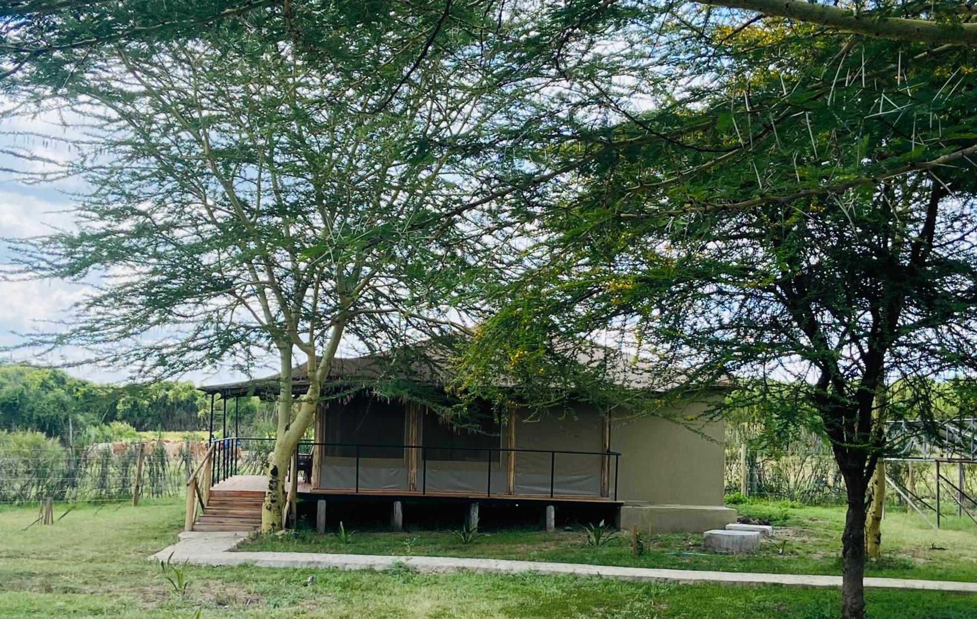 Lodge Mara Sweet Acacia *